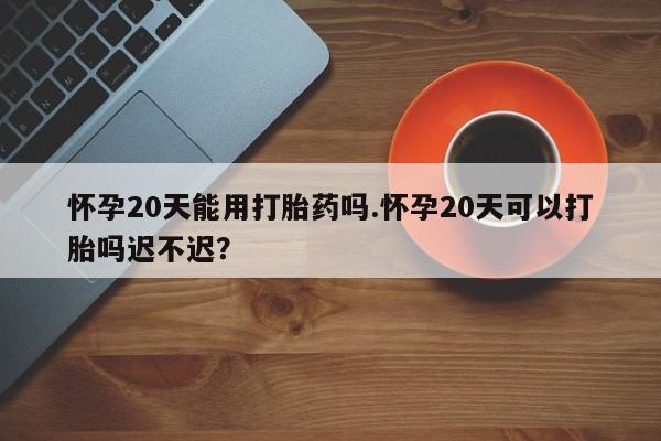 米非司酮哪个网上药店怀孕20天能用打胎药吗.怀孕20天可以打胎吗迟不迟？
